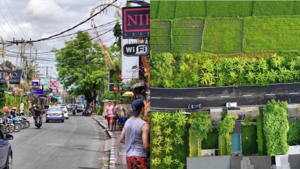 Busy Seminyak street and peaceful Umalas greenery